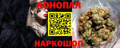 прущие крисы Кулебаки
