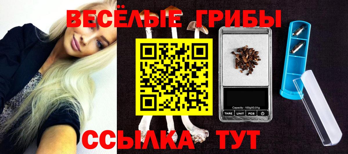 Псилоцибиновые грибы MAGIC MUSHROOMS  Вход с VPN  Изобильный 