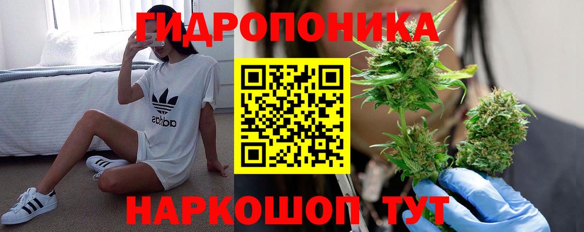 Бошки марихуана White Widow  Конопля конопля  Каннабис Bruce Banner  Вход с VPN  Изобильный 
